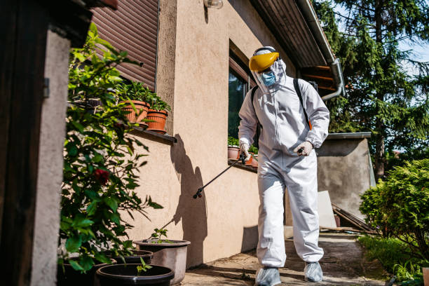 Best Wasp Removal Services  in Loris, SC