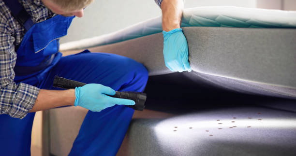 Best Best Pest Control Companies  in Loris, SC