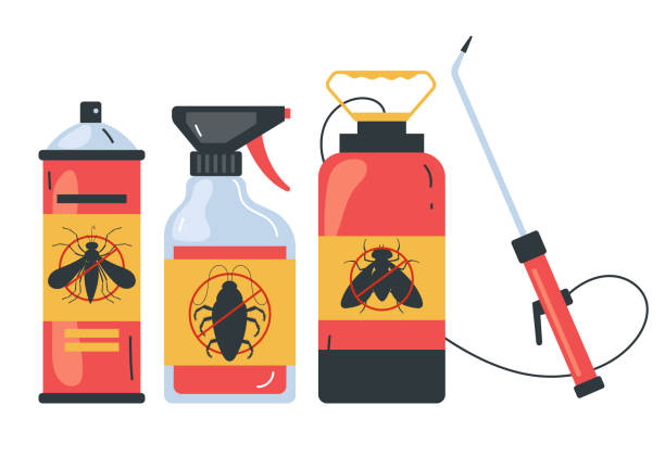 Best Pest Control Treatment  in Loris, SC