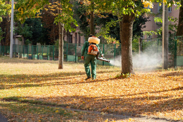 Pest Control Cost in Loris, SC